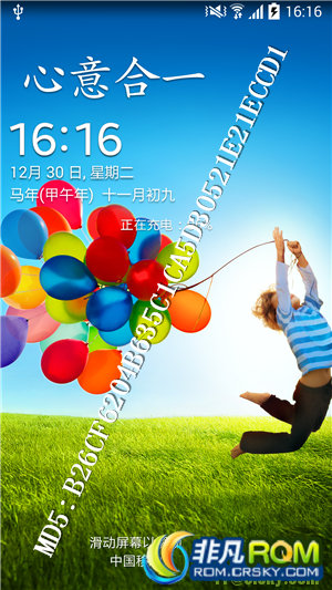 ǷROMI9500ˢ ZCUGNC6 ٷ羫С ԭMETALڷ