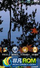 LG P920 ROM-Ⱦ 195M 3DϷ