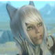 上古卷轴5随从猫女卢内塔mod v1.0
