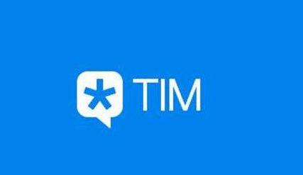 tim1.2版本