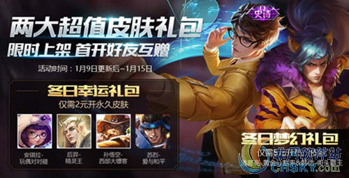 王者荣耀皮肤礼包