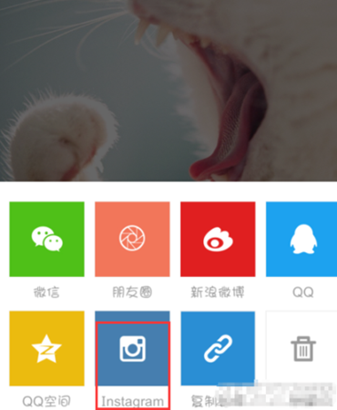 怎么将nice的图片保存到手机