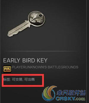 绝地求生大逃杀饰品