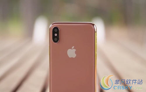 iphonex腮红金