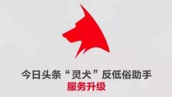 今日头条灵犬服务是什么