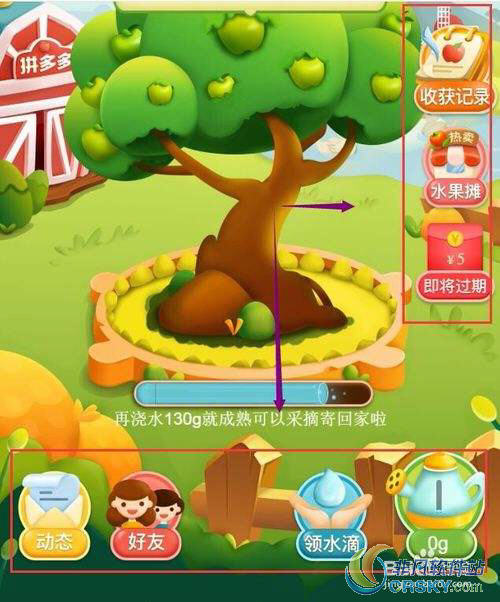 拼多多果园