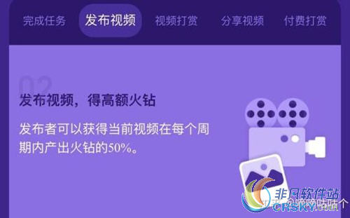 火牛视频火钻是什么