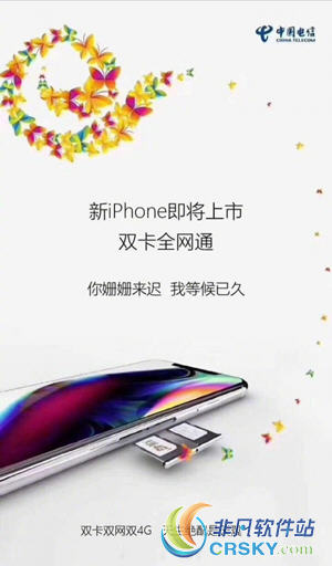 iPhone双卡双待