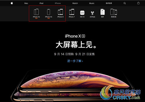 iPhone X