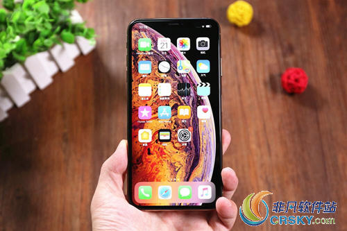 iPhoneXs Max双卡