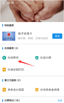 支付宝怎么查询电子社保卡内余额 在哪查社保记录方法