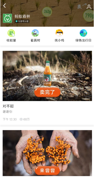 支付宝沙棘汁哪里买